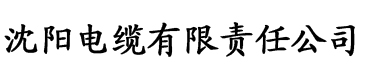 亚洲国产二区三区天堂电缆厂logo